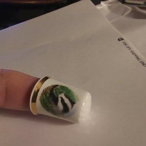 Finsbury Thimble England Vintage Bone China Skunk picture